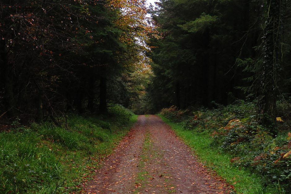 Terron Darby - Its All Up In The Air (Cover)